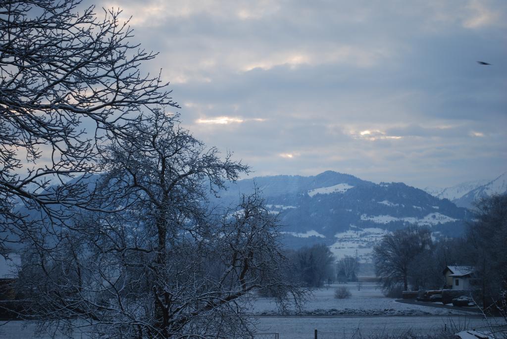 Ferienwohnung Rheintal Feldkirch Kültér fotó